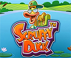 Scruffy Duck